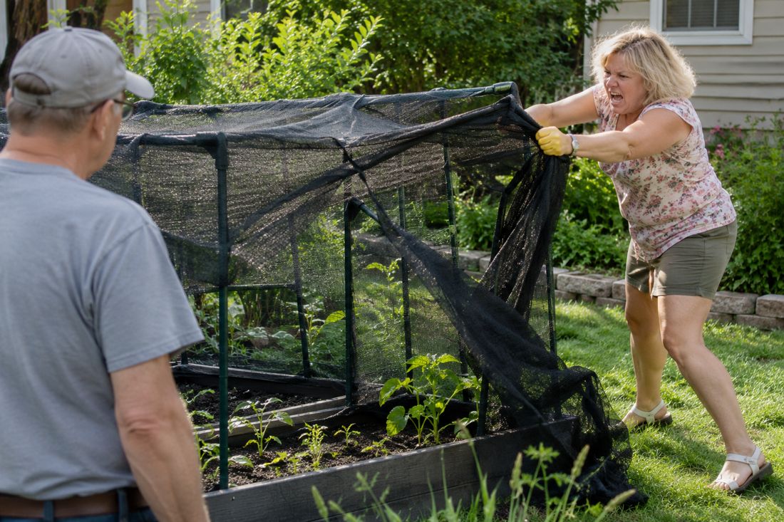 HOA Karen Ripped Down Her Seedling Shade—Then the Nursery Owner Stepped Out